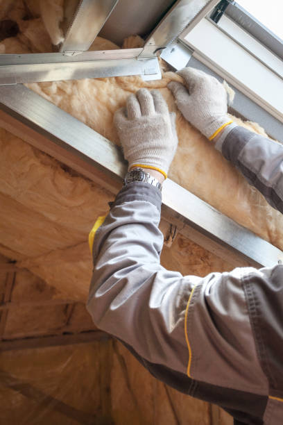 Best Geographic-Specific Insulation Services in Murphy, MO