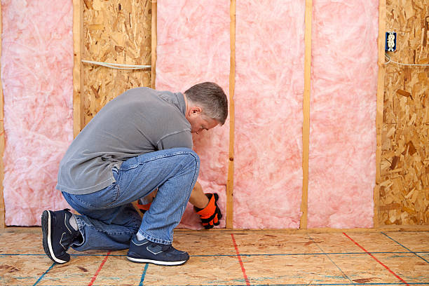 Best Eco-Friendly Insulation in Murphy, MO