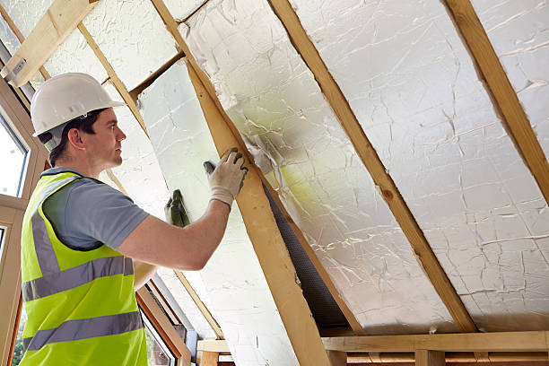 Best Specialized Insulation Services in Murphy, MO