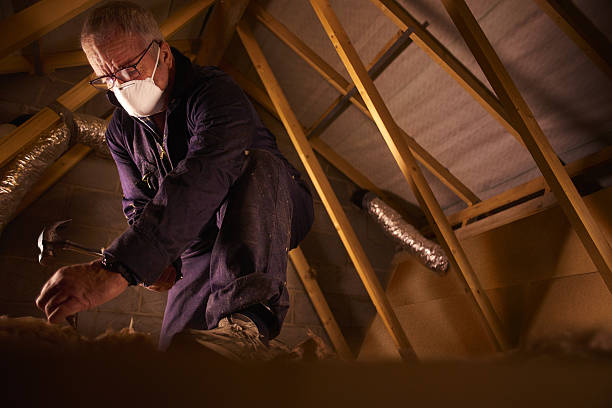 Professional Insulation Contractor in Murphy, MO