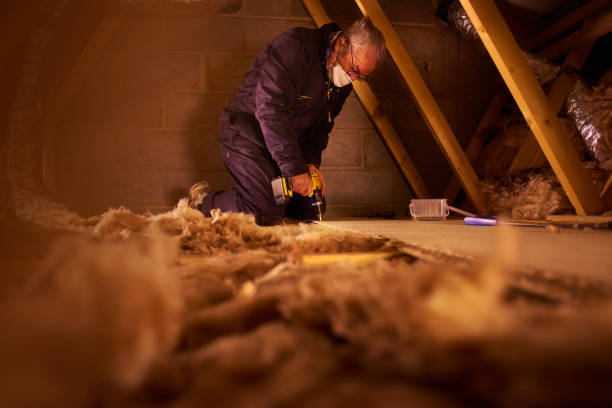 Types of Insulation We Offer in Murphy, MO